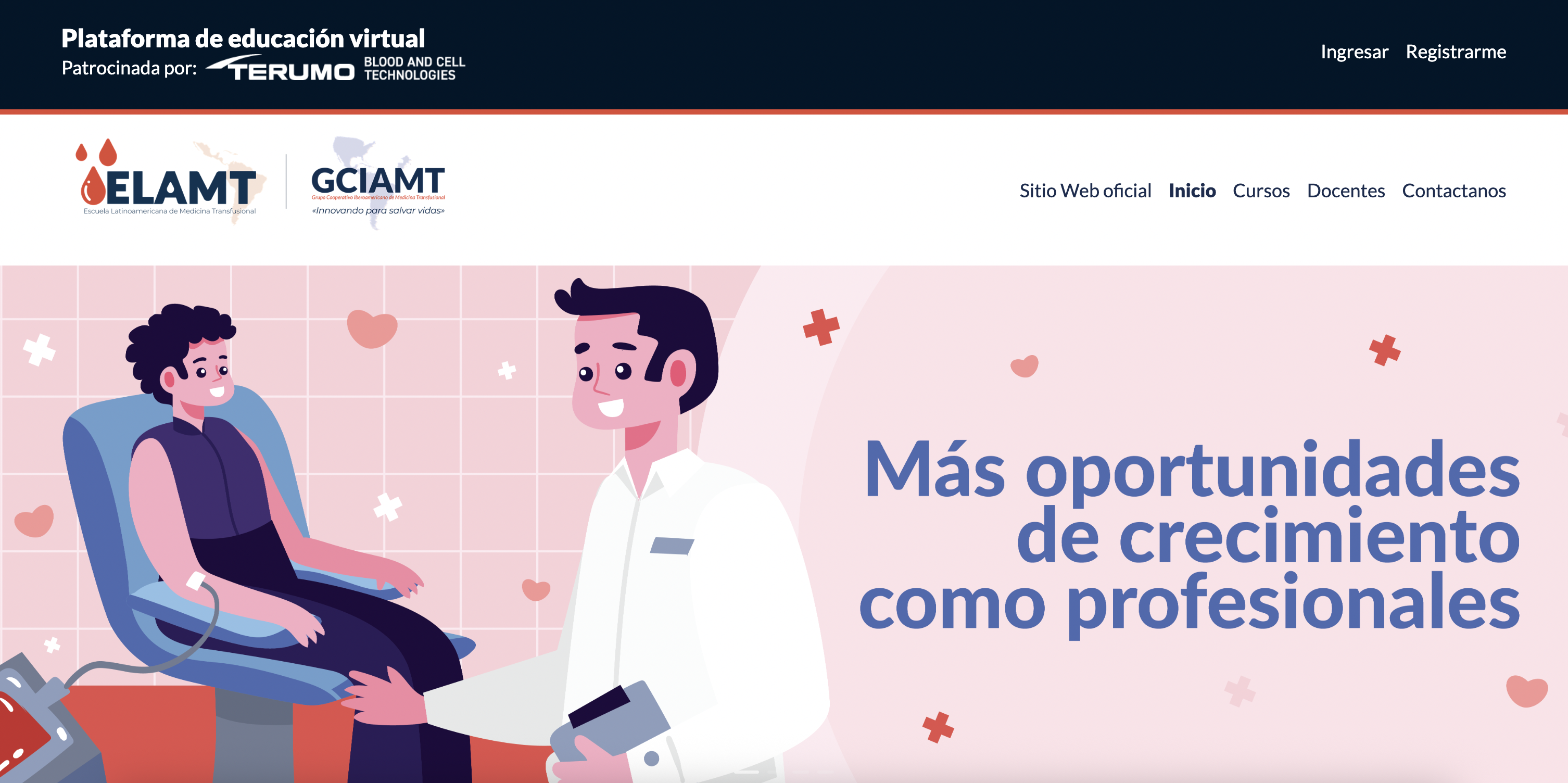 imagen proyecto ELAMT