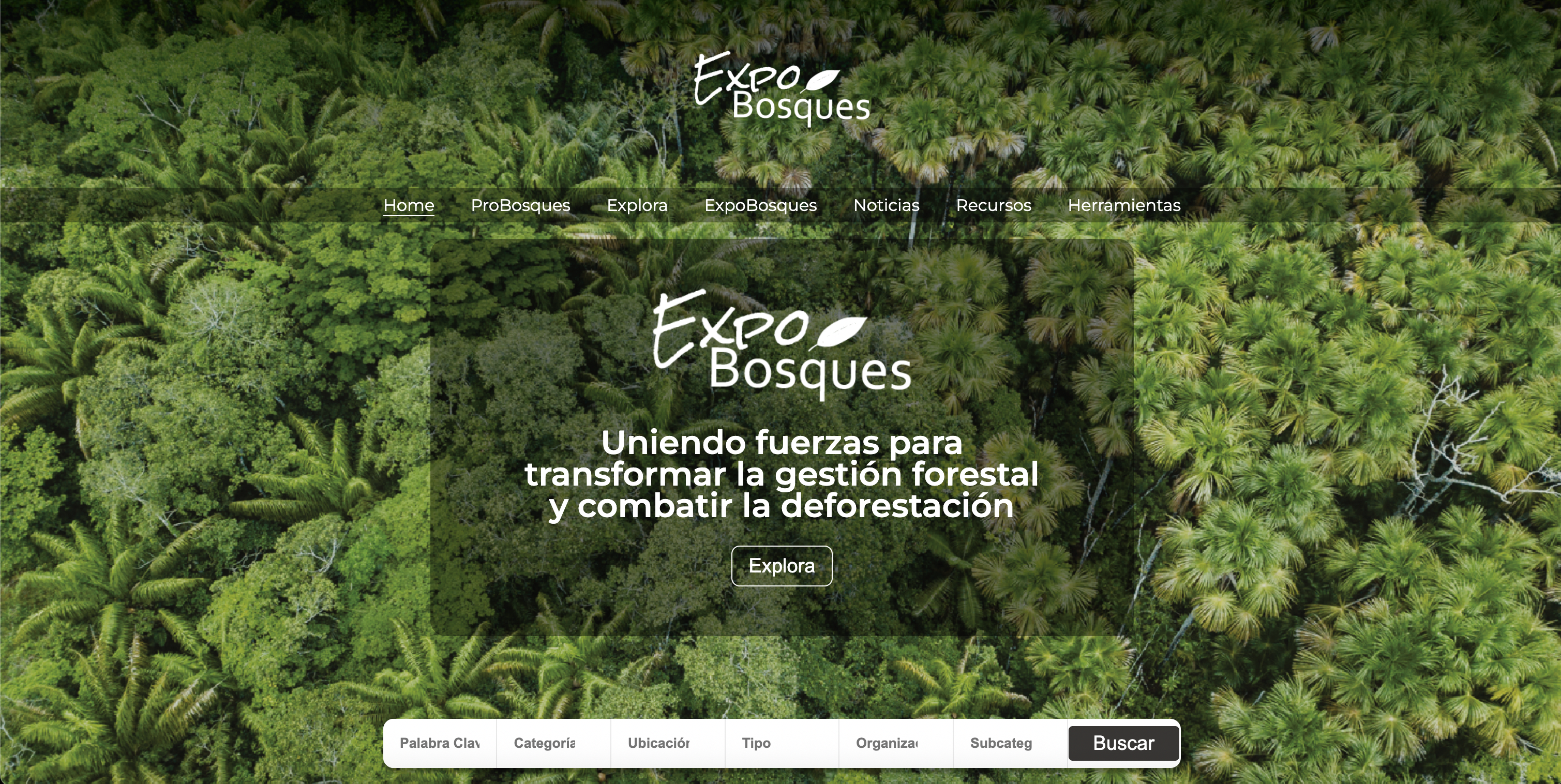 imagen proyecto Expo bosques 2.0